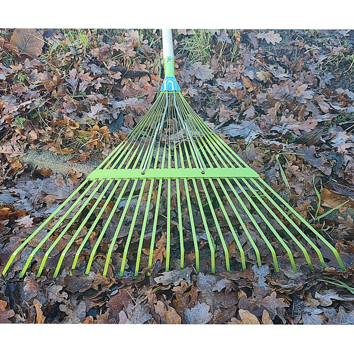 VITO Laubrechen Metall - Laubbesen - mit Stiel - Rasenharke - Gartenharke - Laubfächer - Laubbesen - Gartengerät - Gartenwerkzeug 22 Zähne - Fächermaß 55cm cm - Länge 1550 -VIVR199 - Tools.de TP Profishop GmbH