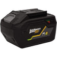 VITO ViBCBL204 Lithium-Ionen-Akku, 6 Ah, kabellos, 20 V, für Garten und Elektro - Tools.de TP Profishop GmbH