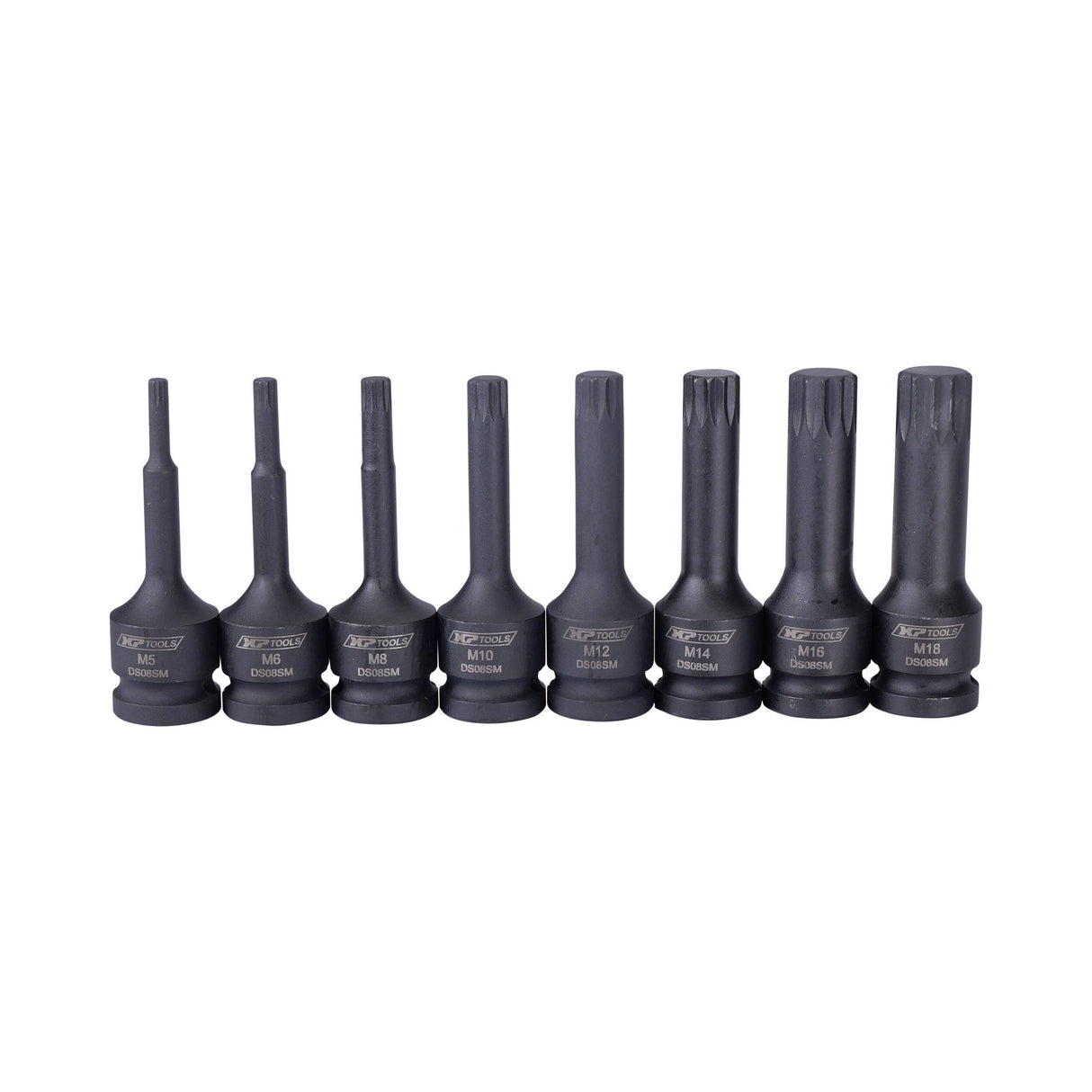 XPTools Innenvielzahl-Bit-Einsatz 1/2" 8 Teile / Steckschlüssel Satz / Mehrzahn Biteinsatz-Set DS08SM - Tools.de TP Profishop GmbH