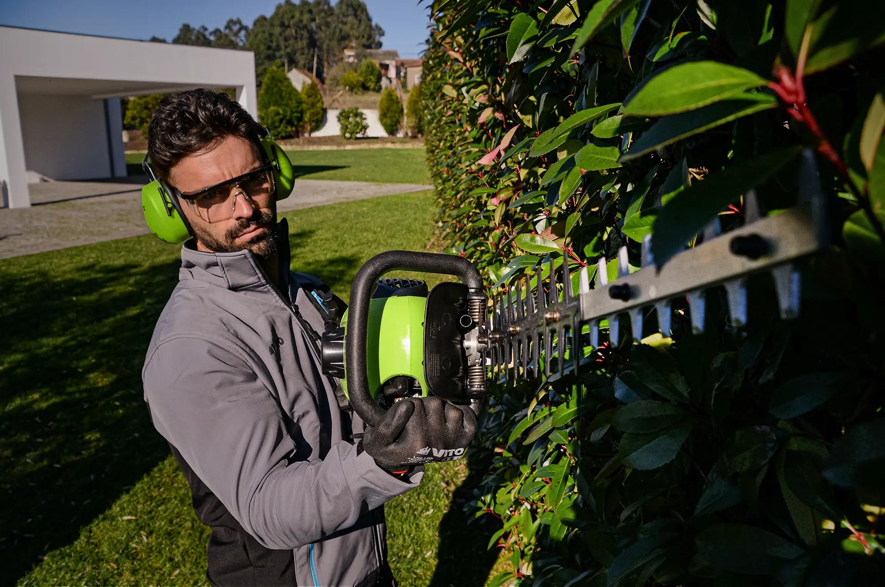 Hecke schneiden leicht gemacht: so bringen Sie Ihre Hecke in Bestform