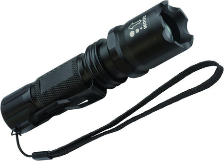 BRENNENSTUHL LED-Taschenlampe LuxPremium 250 lm, 160 m Leuchtweite, fokussierbar, IP44, inkl. 3x AAA