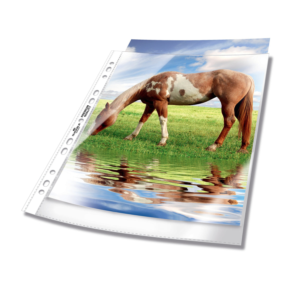 DURABLE Prospekthülle PREMIUM glasklar für Format A4, 235x15 mm, mit Lochrandverstärkung