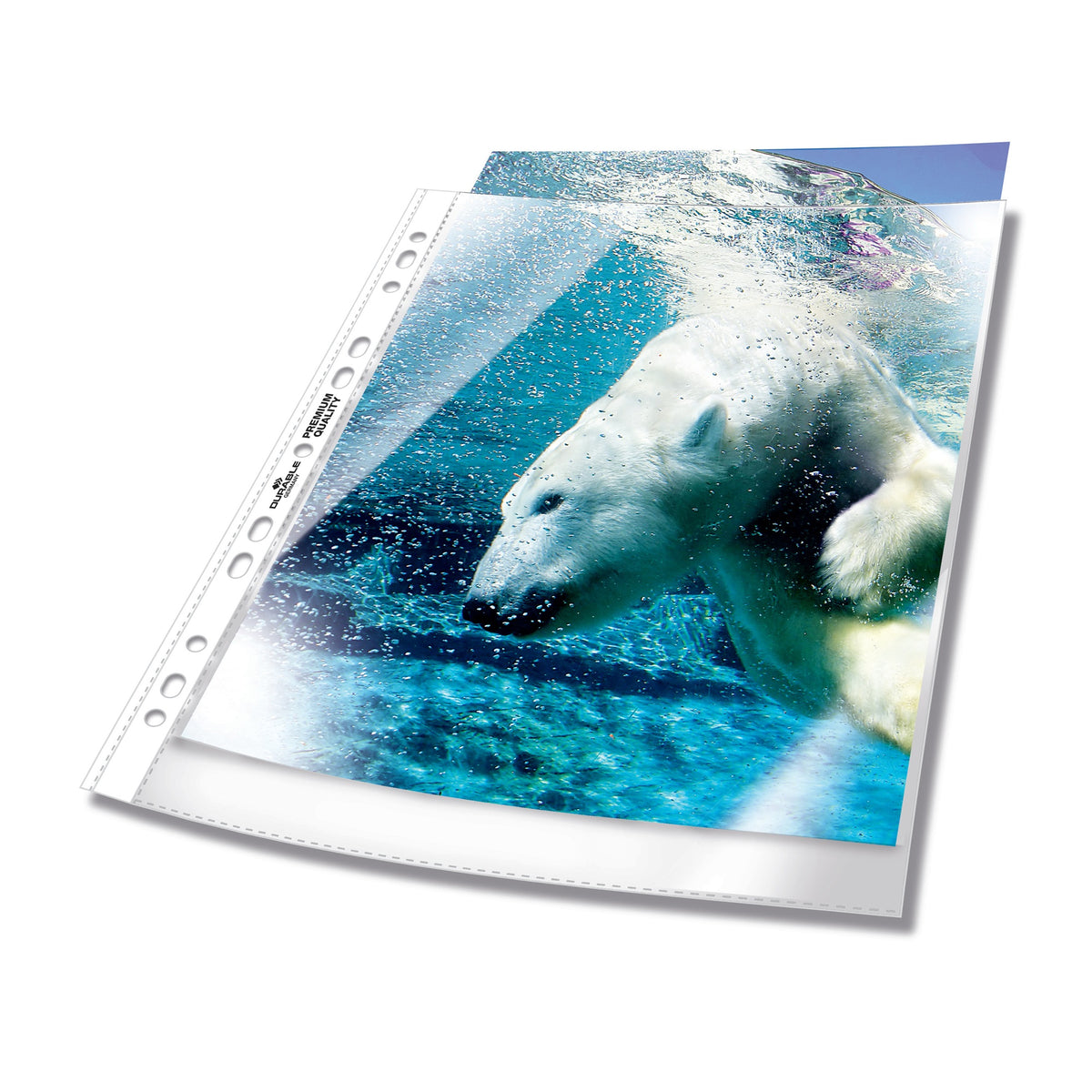 DURABLE Prospekthülle PREMIUM glasklar für Format A4, 235x15 mm, mit Lochrandverstärkung