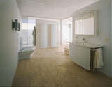 DURAVIT WC-Sitz Caro Weiß mit Edelstahl-Scharnieren – Duroplast, glänzend