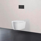 DURAVIT DuraSystem Betätigungsplatte Beta 100 Dual Flush Aufgesetzt Schwarz Matt