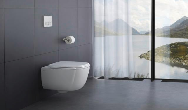 Duravit DuraSystem A1 Betätigungsplatte mechanisch für WC – Dual Flush, Aufgesetzt, Weiß