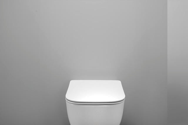 Duravit Univavo WC-Sitz eckig tief 434mm mit Absenkautomatik, abnehmbar, Edelstahl Scharniere, Weiß