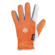 Handschuhe GROEDEN Gr. 9 von ELYSEE – Kälteschutz bis -30 °C, EN 388 & EN 511