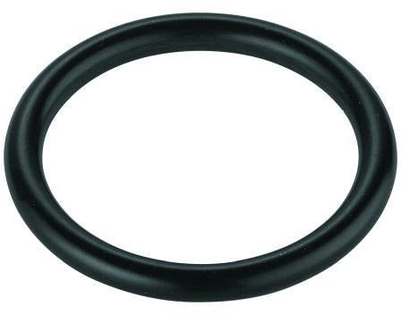 GROHE Schnurring 43877 32x4mm – Passgenauer Dichtring für WC- und Bidet-Zubehör
