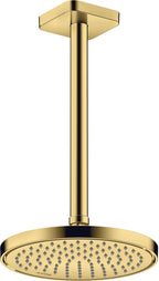 polished gold optic / Gold