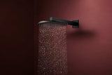 Hansgrohe Raindance Alive S 300 2jet EcoSmart Kopfbrause mit Brausearm – 300 mm, schwarz