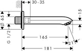 HANSGROHE Wanneneinlauf METRIS DN20, Ausladung 165 mm, Wandmontage, Chrom