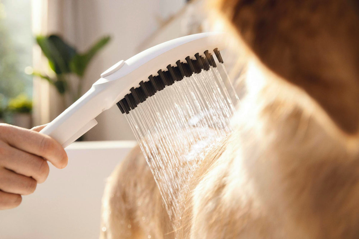HANSGROHE DogShower 150 Hundeduschbrause mit 3 Strahlarten und Select-Taste