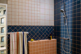 HANSGROHE Handbrause Activera Select S 95 2jet EcoSmart Chrom – 2 Strahlarten, Select-Taste, QuickClean+