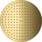 polished gold optic / Gold