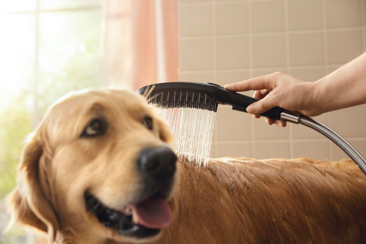 HANSGROHE DogShower 150 Hundeduschbrause mit 3 Strahlarten und Select-Taste