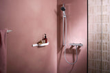 HANSGROHE Duschset WallStories mattschwarz – Wandstange mit Ablagekorb, Duschabzieher & Handtuchhaken