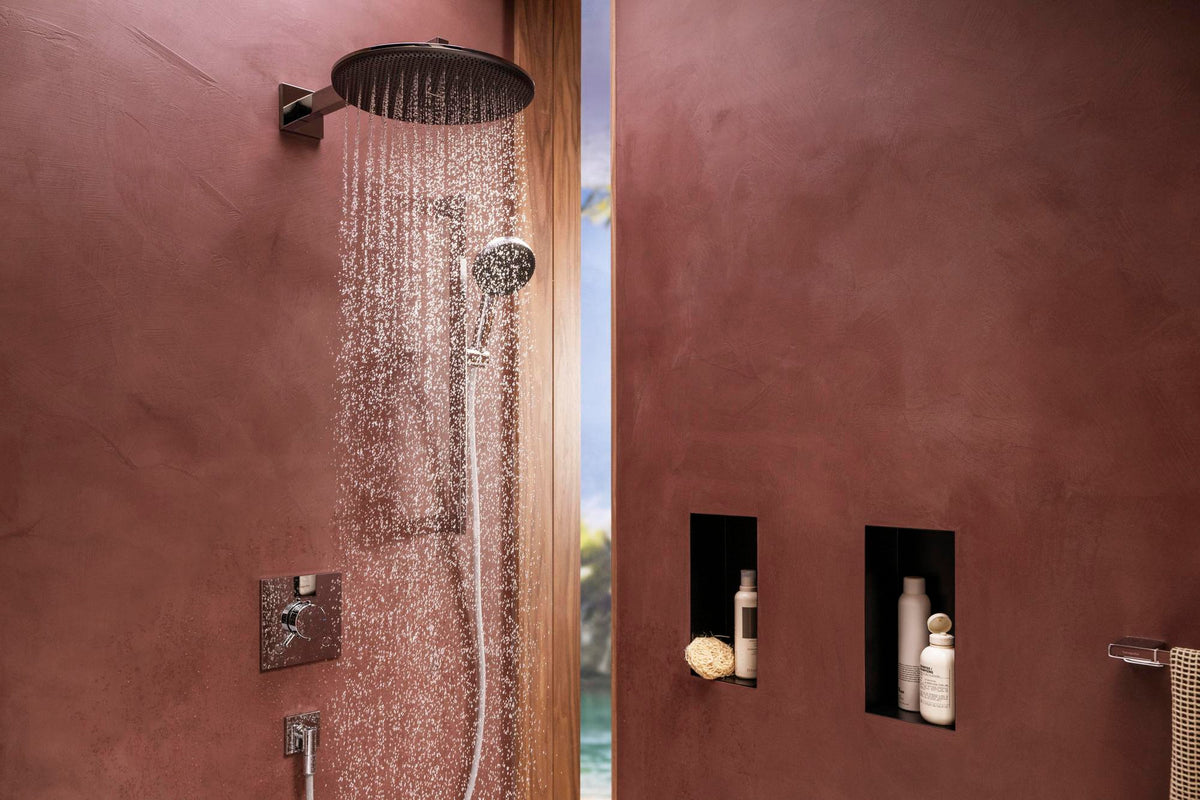 HANSGROHE Raindance Alive Select S 125 Handbrause 3 Strahlarten EcoSmart