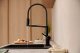 HANSGROHE Talis Select M54 PowderSpray Spültischmischer mattschwarz – ComfortZone 210, 3jet, Movaflex