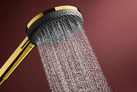HANSGROHE Raindance Alive Select S 125 3jet Handbrause mit Select-Taste und QuickClean