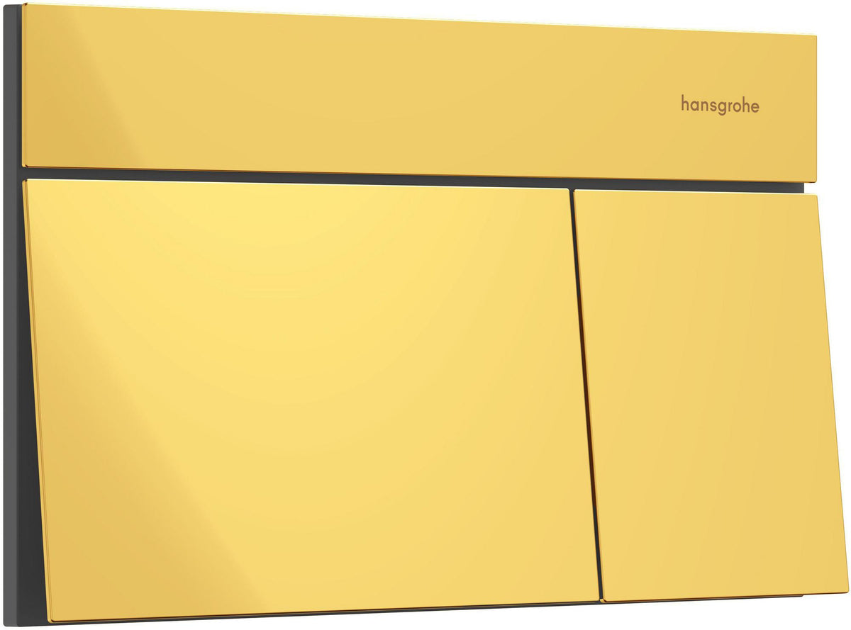 Hansgrohe iFrame Element E Betätigungsplatte mit 2-Mengen-Spülung, Metall, gebürstet