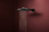 Hansgrohe Raindance Alive S 300 2jet EcoSmart Kopfbrause mit Brausearm – 300 mm, schwarz