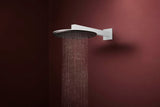 Hansgrohe Raindance Alive S 300 2jet EcoSmart Kopfbrause mit Brausearm – 300 mm, schwarz