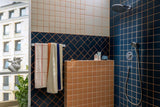 HANSGROHE Activera Select S 95 2jet EcoSmart Handbrause – Chrom, 2 Strahlarten, Select-Taste