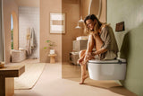 Hansgrohe iFrame Element E Betätigungsplatte mit 2-Mengen-Spülung, Metall, gebürstet