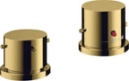 Gold / polished gold optic