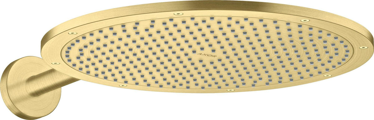 Hansgrohe HG Kopfbrause SHOWERSOLUTIONS 350 1jet chr – 350 mm PowderRain Strahl