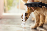 HANSGROHE DogShower 150 Hundeduschbrause mit 3 Strahlarten und Select-Taste