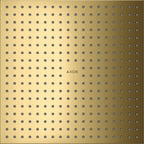 polished gold optic / Gold