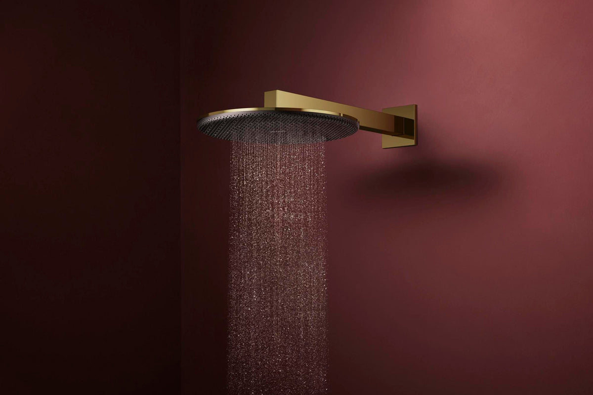Hansgrohe Raindance Alive S 300 2jet EcoSmart Kopfbrause mit Brausearm – 300 mm, schwarz