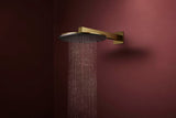 Hansgrohe Raindance Alive S 300 2jet EcoSmart Kopfbrause mit Brausearm – 300 mm, schwarz