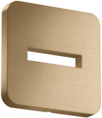 brushed bronze