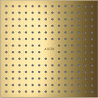 polished gold optic / Gold