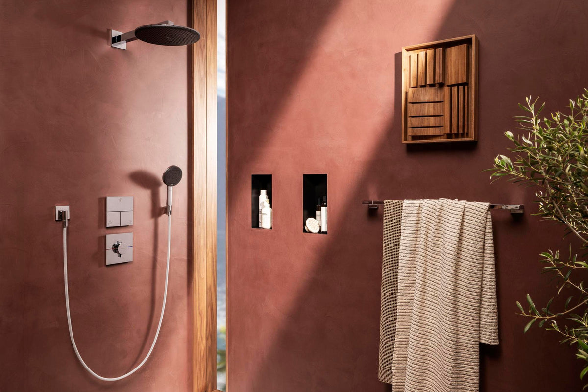 HANSGROHE Raindance Alive Select S 125 Handbrause 3 Strahlarten EcoSmart