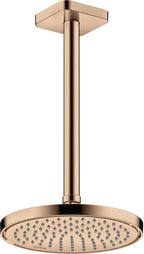 polished red gold / Gold