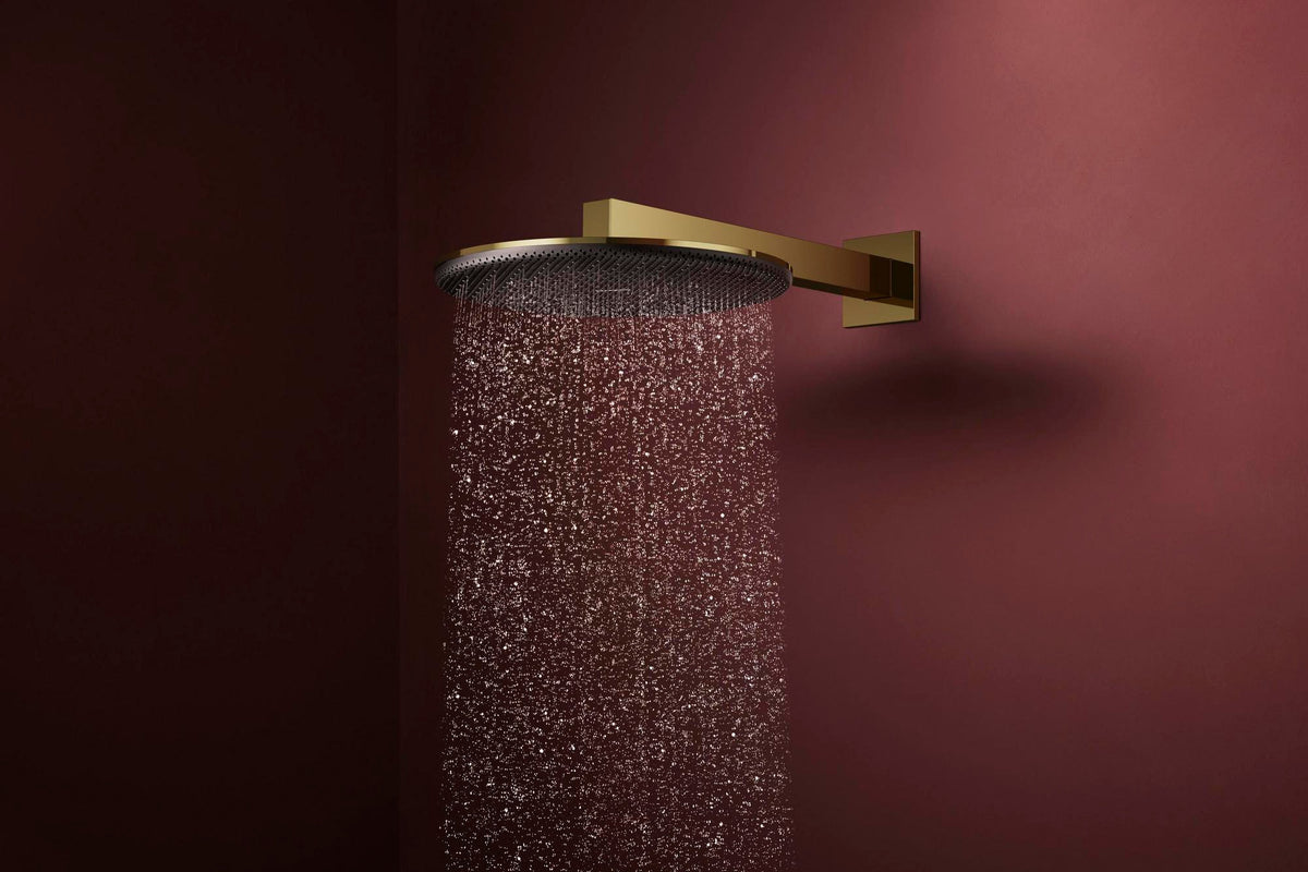 Hansgrohe Raindance Alive S 300 2jet EcoSmart Kopfbrause mit Brausearm – 300 mm, schwarz