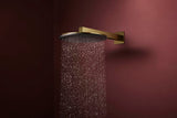 Hansgrohe Raindance Alive S 300 2jet EcoSmart Kopfbrause mit Brausearm – 300 mm, schwarz
