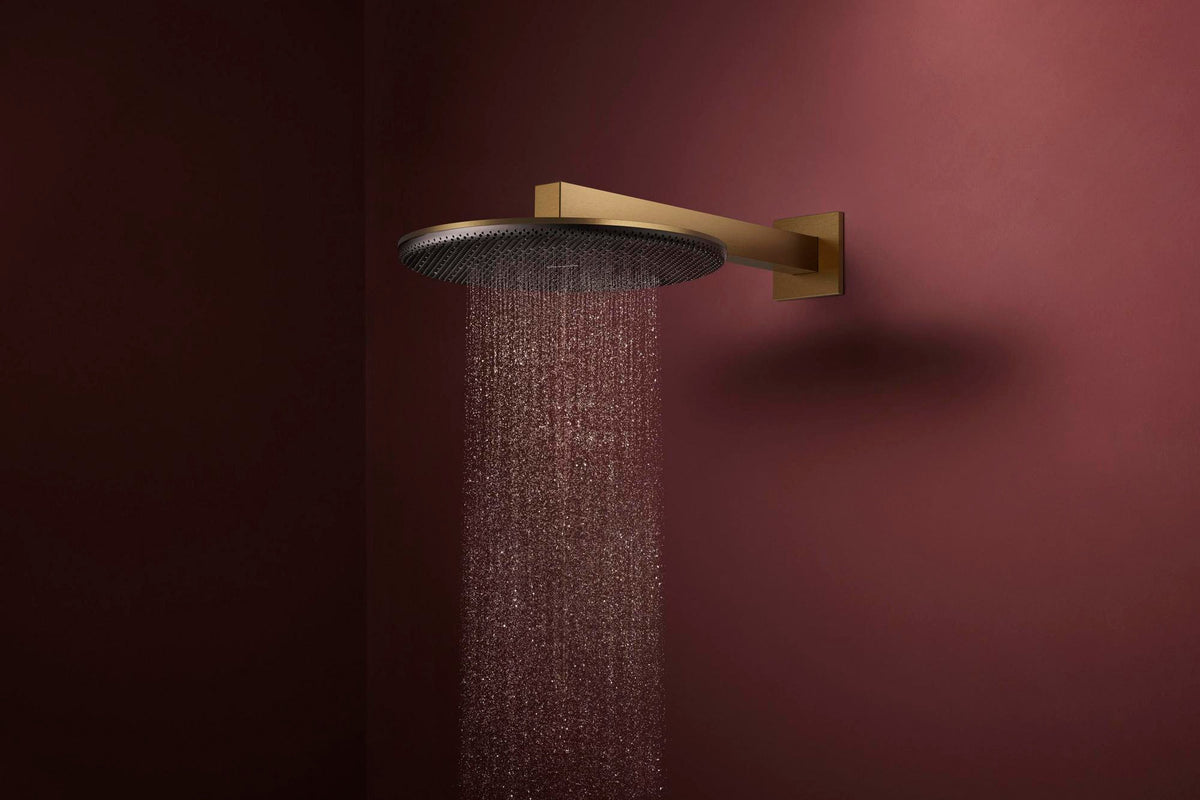 Hansgrohe Raindance Alive S 300 2jet EcoSmart Kopfbrause mit Brausearm – 300 mm, schwarz