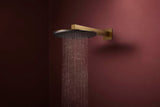Hansgrohe Raindance Alive S 300 2jet EcoSmart Kopfbrause mit Brausearm – 300 mm, schwarz