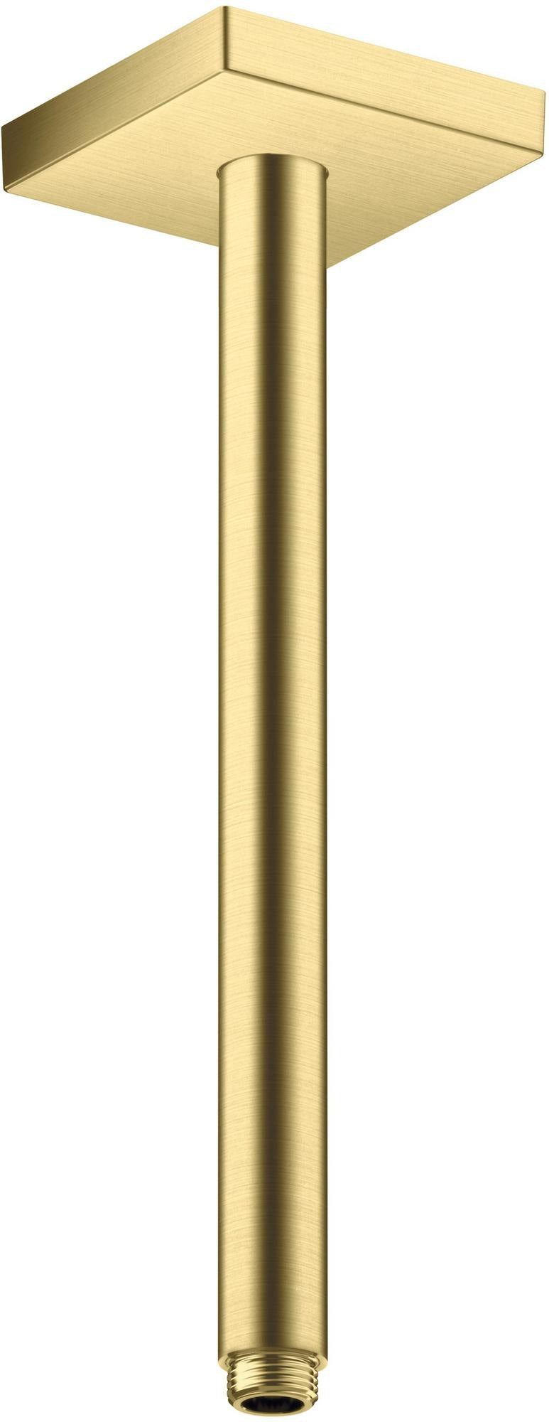 AXOR Decken-Anschlussstück 300 mm DN 15 eckig brushed brass