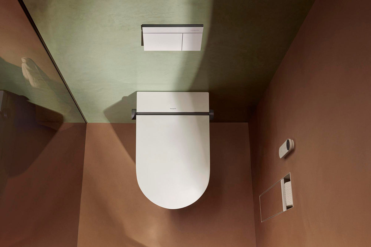 Hansgrohe iFrame Element E Betätigungsplatte mit 2-Mengen-Spülung, Metall, gebürstet