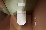 Hansgrohe iFrame Element E Betätigungsplatte mit 2-Mengen-Spülung, Metall, gebürstet