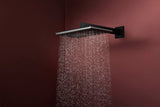 HANSGROHE Kopfbrause Raindance Alive Q 210/340 1jet – Rechteckig, RainAir & PowderRain, Schwarz