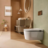 Hansgrohe iFrame Element E Betätigungsplatte mit 2-Mengen-Spülung, Metall, gebürstet