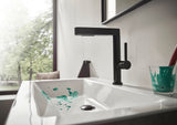 Hansgrohe AddStoris Doppelhaken Chrom – Wandmontage, verdeckte Befestigung, Metall