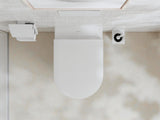 HANSGROHE AddStoris Papierrollenhalter mit Deckel, Chrom, Wandmontage